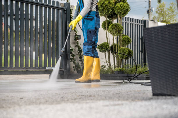 Best Deck Pressure Washing  in Newton, AL