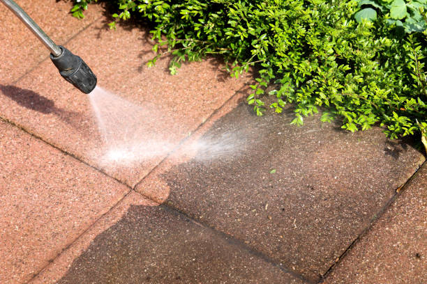 Best Commercial Pressure Washing  in Newton, AL